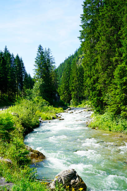 istock River in Tyrol, Austria near Lermoos. Landscape with a stream, surrounded by trees. 1346603208