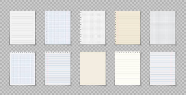 노트북 또는 카피북의 제곱및 줄 지어 종이 시트. 숙제와 운동을위한 빈 격자 노트북 용지. 하얀 조터의 찢어진. - notebook page sheet paper stock illustrations