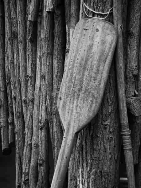Wooden paddle in front of tree trunks in black and white