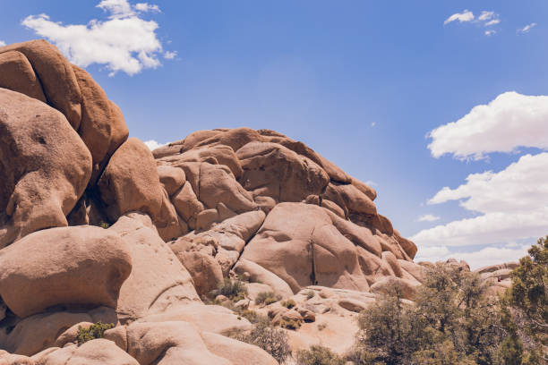 Joshua Tree Desert landscape: giant rocks. in Joshua Tree, California, United States