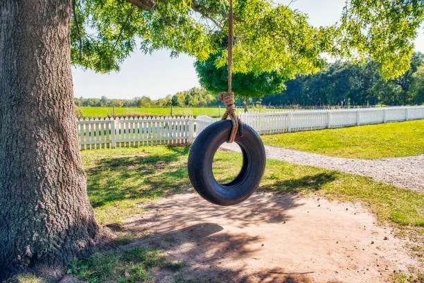 Tire Swing and picket fence under big tree.