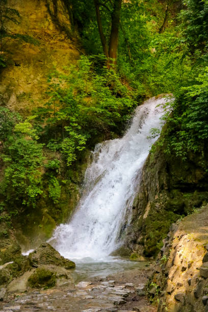istock View of a small waterfall surrounded by greenery and trees. 1346618638