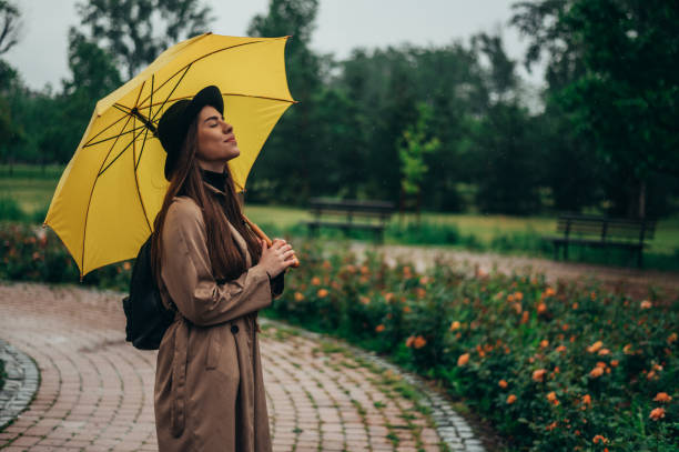 黄色い傘を持ち、雨の間に公園を散歩する女性 - umbrella women storm yellow ストックフォトと画像