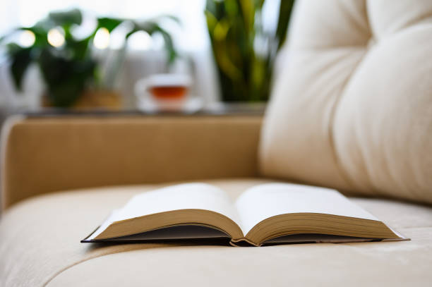 istock An open book on a light sofa in the room. 1346620501
