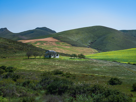 A house in countryside among the rolling hills of Overberg Western Cape South Africa