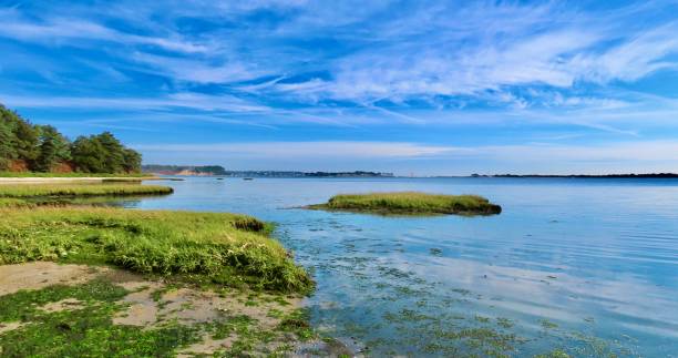 Poole Harbour, Dorset, U.K. Bank of Poole Harbour, Dorset, U.K. with island in sea on a lovely sunny day with interesting sky reflecting in blue sea. poole harbour stock pictures, royalty-free photos & images