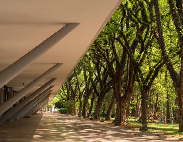 Ibirapuera Park. Oscar Niemeyer's modern architecture in perspective and the nature of the park. São Paulo - Brazil - September 30, 2021: Oscar Niemeyer's modern architecture and the nature of Ibirapuera Park. ibirapuera park stock pictures, royalty-free photos & images