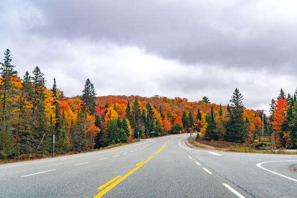istock Fall colors at Frank MacDougall Parkway, Algonquin Provincial Park, Ontario, Canada 1346633322