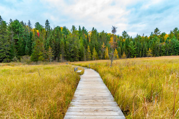 Ontario, Canada.