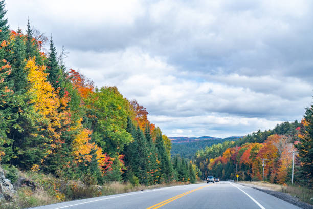 istock Fall colors Algonquin Provincial Park, Ontario, Canada 1346636778