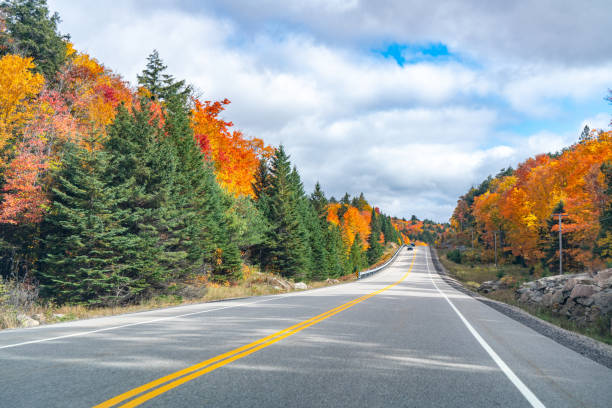 istock Fall colors Algonquin Provincial Park, Ontario, Canada 1346636962