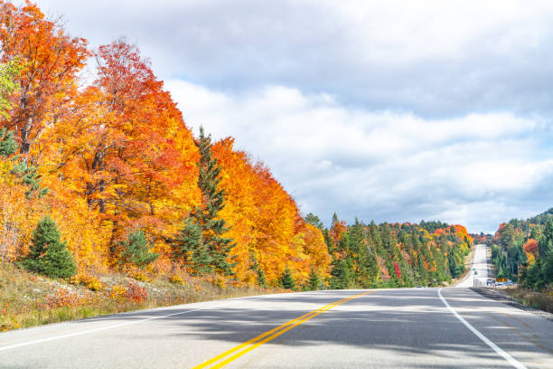 istock Fall colors Algonquin Provincial Park, Ontario, Canada 1346636991