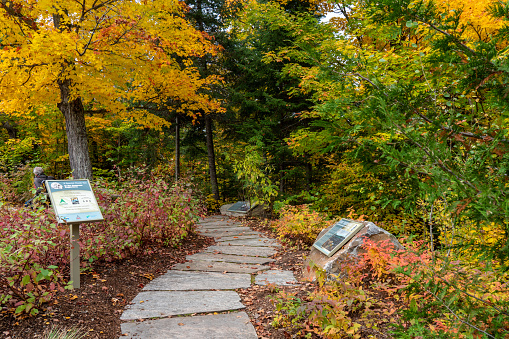 Fall colors at Algonquin Provincial Park Art Centre path, Ontario, Canada.