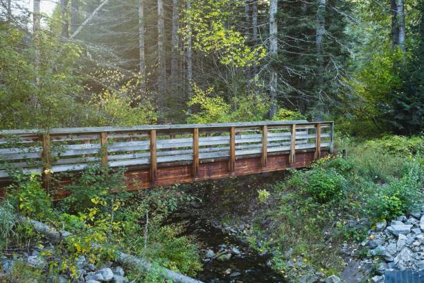 istock Footbridge over a stream in Idaho. 1346645685
