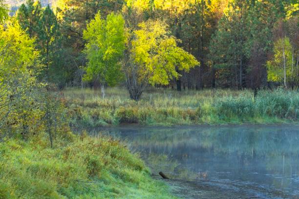 istock Pond in early morning. 1346645686