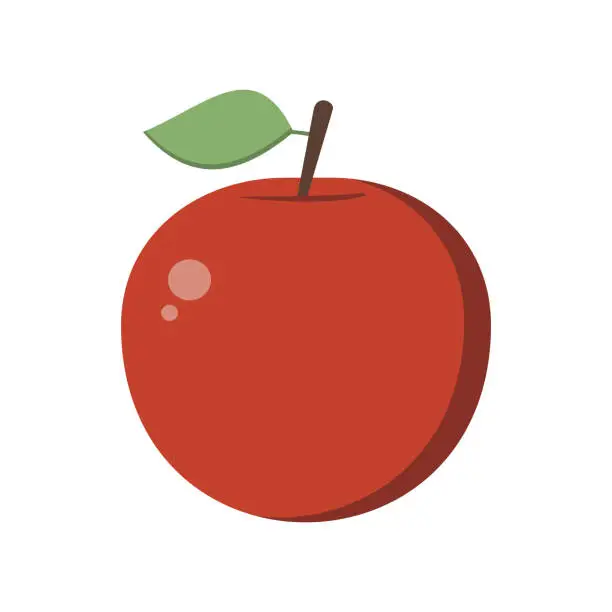 Vector illustration of apple vector on white background