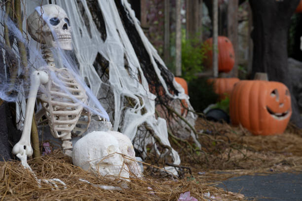 istock human skeleton with halloween pumpkin 1346668684