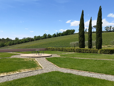 Vineyards surrounding a winery near the town of Castelnuovo Berardenga, in the Chianti classico region, Siena province, Tuscany