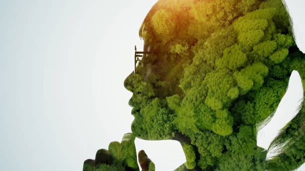 silhouette of girl and natural landscape. double exposure. - thinking green imagens e fotografias de stock