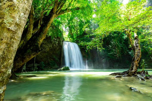 cascata di erawan nella foresta pluviale della thailandia - erawan falls foto e immagini stock