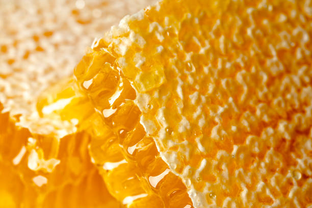 istock Honeycomb with honey close-up 1346675378