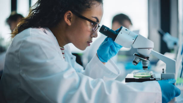 istock Medical Science Laboratory: Beautiful Black Scientist Looking Under Microscope Does Analysis of Test Sample. Diverse Team of Young Specialists, Using Advanced Technology Equipment. 1346675534