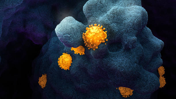istock Coronavirus medical illustration 1346677001
