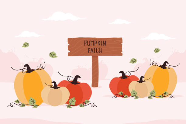 Pumpkin Patch Cartoon Illustrations, Royalty-Free Vector Graphics & Clip Art - iStock Pumpkin Patch Cartoon Illustrations, Royalty-Free Vector Graphics & Clip Art - iStock
