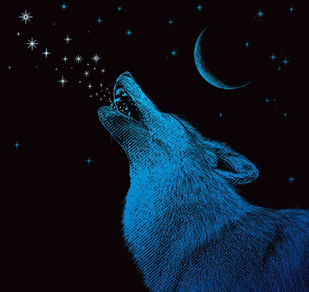 Vector illustration of Gray wolf howling at the moon