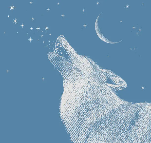 Vector illustration of Gray wolf howling at the moon