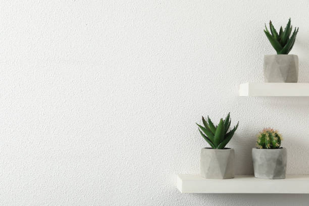 istock Beautiful artificial plants in flower pots on shelves. Space for text 1346680498