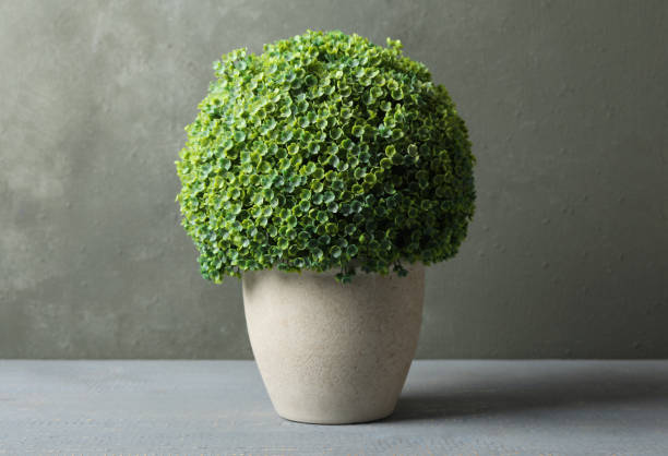 istock Artificial plant in ceramic flower pot on grey wooden table 1346682338