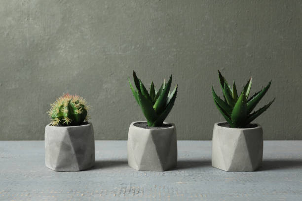 istock Artificial plants in ceramic flower pots on grey wooden table 1346682461