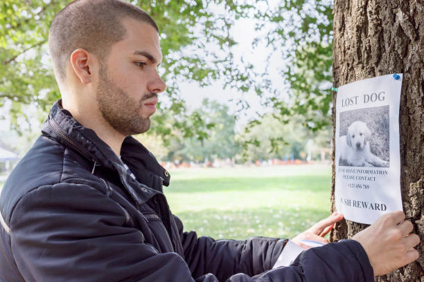 dueño de mascota clavando un póster de perro perdido en un árbol - lost pet fotografías e imágenes de stock