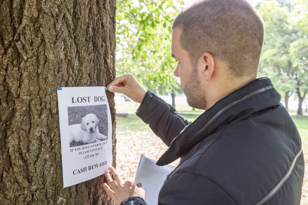 istock Pet owner placing a lost dog poster 1346683726