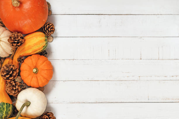istock Seasonal pumpkins and squashes with autumn leaves 1346683921
