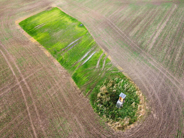 istock A hunter's seat from the air in a field 1346684017
