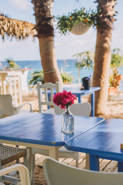 istock Terrace with white wooden tables and chairs and palm trees 1346684155