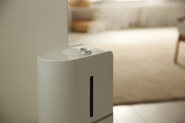 istock Modern humidifier in room. Space for text 1346684261
