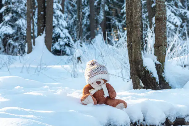 Photo of Teddy bear in knitted hat and scarf sits in snowy forest