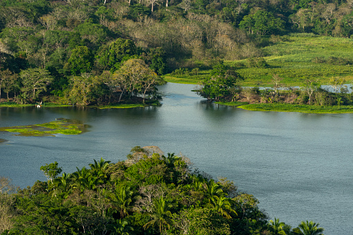 Round trip on the island of Sri Lanka. Trees in the impressive lake landscape of the Tissa Wewa (Tissamaharama) reservoir near Yala National Park in the south-east of the island.