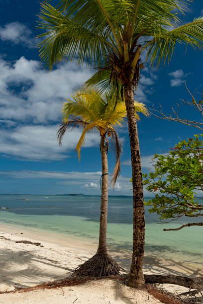 istock Scenic View Of Caribbean Beach Against Sky 1346687012
