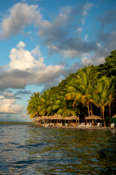 ilha bocas del toro - bocas del toro - fotografias e filmes do acervo