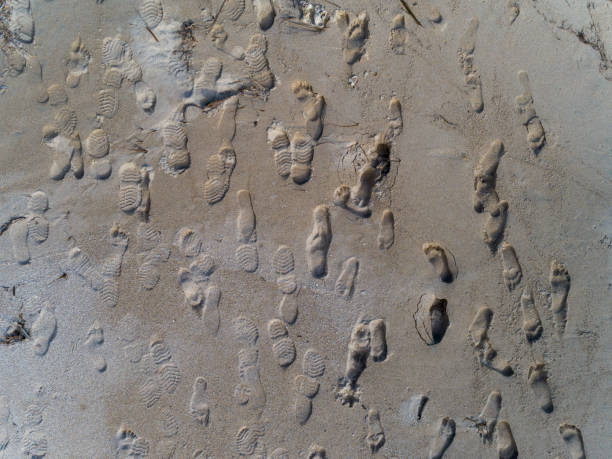 Areal view of footprints on island beach, Bocas del Toro, Panama, Central America