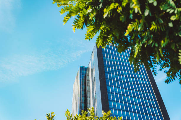 Urban settings in the city, greenery on rooftops and terraces of corporate and residential buildings. High-rise buildings with green rooftops and skyline in the background.