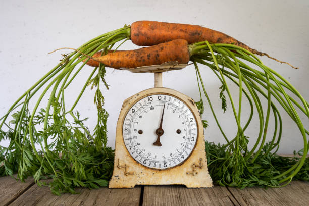 Organic Carrots with Green Tops on an Old Scale with black background stock photo
