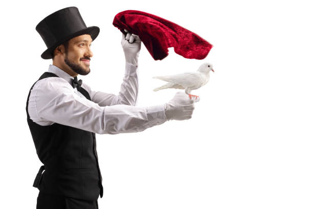 istock Magician performing with a white dove and a red cloth 1346693087