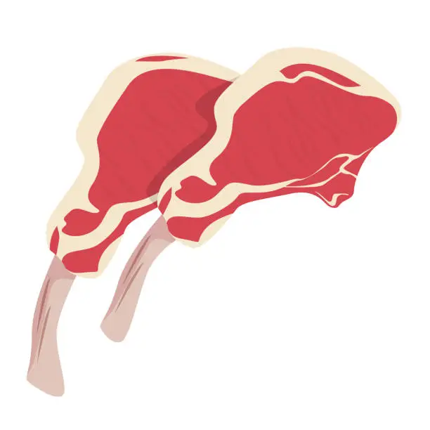 Vector illustration of Raw lamb chop vector isolated. Uncooked meat