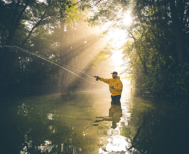 istock Fly-fishing in morning mist 1346695184