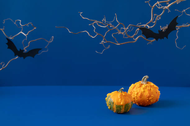istock Two small decorative orange pumpkins, spooky bare branches, black paper bats on deep blue background. Halloween sale mockup for product presentation. Trendy dark autumn composition. Still life 1346695334
